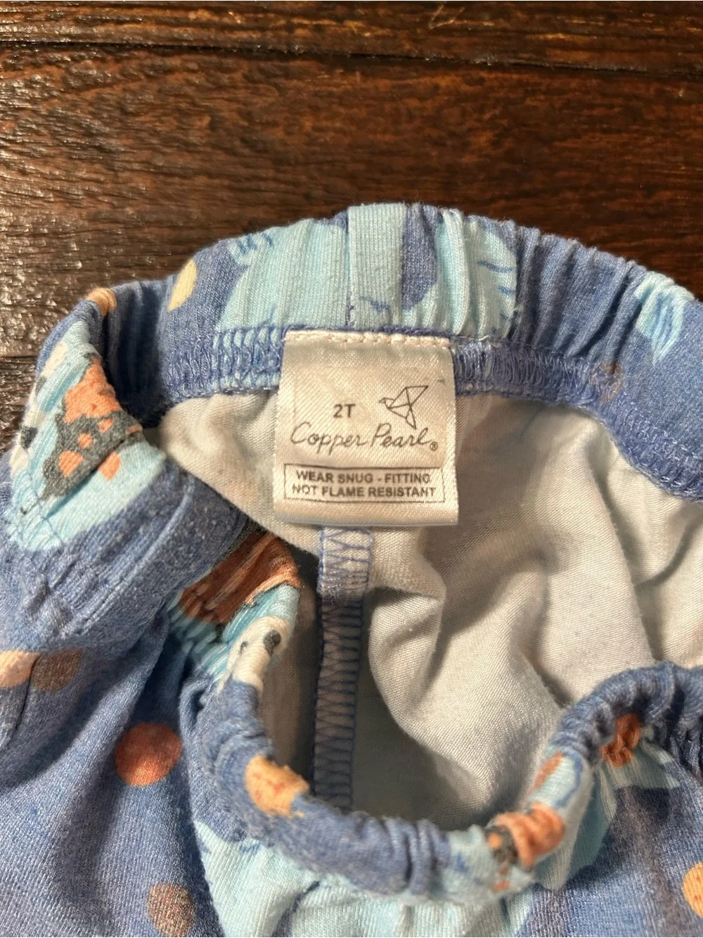 Copper Pearl Cookie Monster- 2pc Short Sleeve Pajama Set - 2T